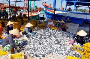 Government agrees with building large fishery centre in Ba Ria - Vung Tau